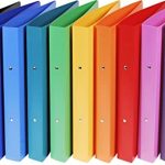 Carpeta Plastica Doble Anillo A4